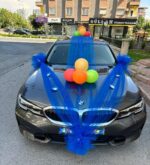 Sünnet Arabası Süslemeleri Paket 1