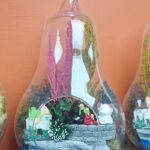 Teraryum Orta Boy Armut